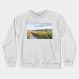 Trail Through Orchards and Vineyards in Summer Crewneck Sweatshirt